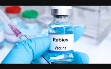 അഞ്ചു വയസുകാരി പേവിഷബാധയേറ്റ് മരിച്ച സംഭവത്തിൽ ചികിത്സാപിഴവില്ലെന്ന് ആശുപത്രി അധികൃതർ