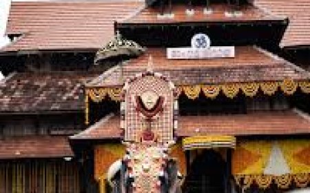 പൂരലഹരിയിലാണ് മലയാളികൾ. ജനസാഗരമാണ് പൂരനഗരിയിലേക്ക് ഒഴുകിയെത്തുന്നത്