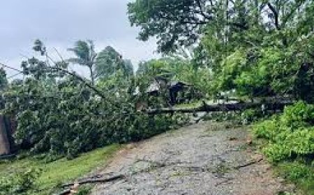 ഗോത്രവിഭാഗങ്ങൾക്ക് പ്രകൃതി ദുരന്ത നിവാരണത്തിന് പുതിയ പദ്ധതിയുമായി സർക്കാർ