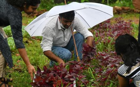 കൊച്ചിയിലെ ഓർഗാനിക് കൃഷിയുമായി ബന്ധപ്പെട്ട വളർച്ച വലിയ ശ്രദ്ധ നേടുകയാണ്