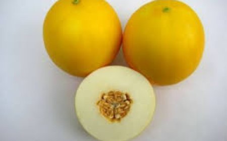 ഇന്ത്യൻ കാർഷിക ഗവേഷണ ഇൻസ്റ്റിറ്റ്യൂട്ട്  വികസിപ്പിച്ചെടുത്ത മസ്കലെമൺ ഒരു   നാരങ്ങ ഇനമാണ്