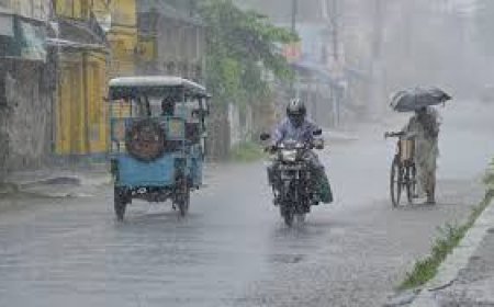 കാലവർഷം ശക്തമായി: കാസർകോട്, കണ്ണൂർ, വയനാട്, കോഴിക്കോട്, മലപ്പുറം ജില്ലകളിൽ റെഡ് അലേർട്ട്