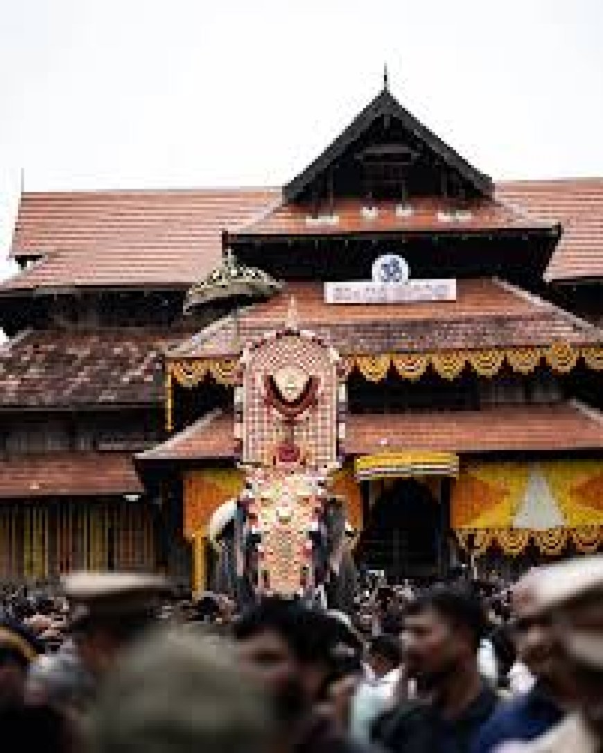 പൂരലഹരിയിലാണ് മലയാളികൾ. ജനസാഗരമാണ് പൂരനഗരിയിലേക്ക് ഒഴുകിയെത്തുന്നത്
