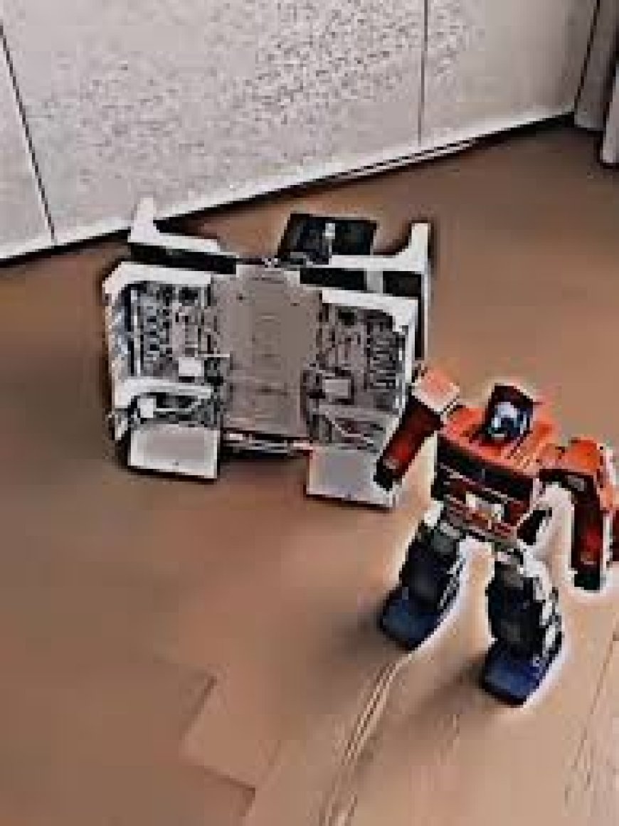 ഹ്യൂമനോയിഡ് റോബോട്ടുകളുടെ പ്രവർത്തനം: കർശന പരിശോധന അനിവാര്യം