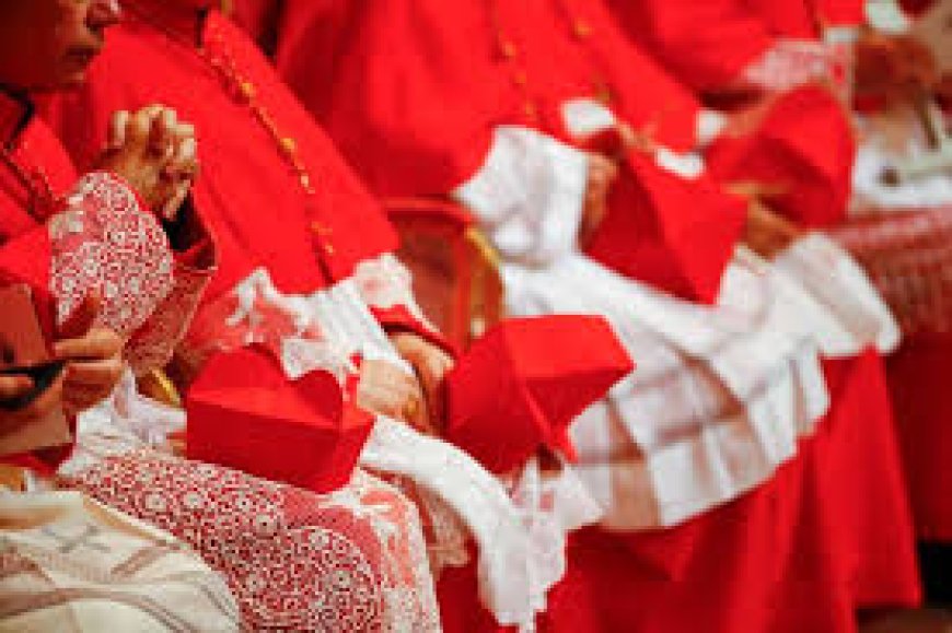 പുതിയ മാർപ്പാപ്പ ലിയോ പതിനാലാമന് 𝟯𝟯,𝟬𝟬𝟬 ഡോളറാണ് ശമ്പളമായി ലഭിക്കുക