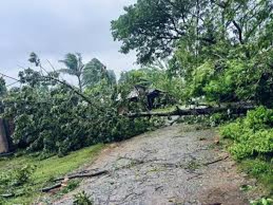 ഗോത്രവിഭാഗങ്ങൾക്ക് പ്രകൃതി ദുരന്ത നിവാരണത്തിന് പുതിയ പദ്ധതിയുമായി സർക്കാർ