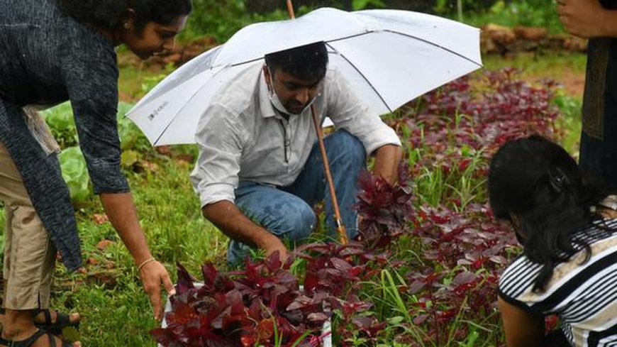 കൊച്ചിയിലെ ഓർഗാനിക് കൃഷിയുമായി ബന്ധപ്പെട്ട വളർച്ച വലിയ ശ്രദ്ധ നേടുകയാണ്