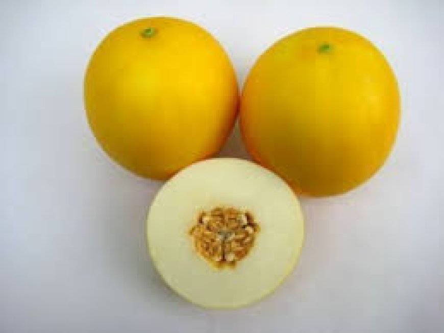 ഇന്ത്യൻ കാർഷിക ഗവേഷണ ഇൻസ്റ്റിറ്റ്യൂട്ട്  വികസിപ്പിച്ചെടുത്ത മസ്കലെമൺ ഒരു   നാരങ്ങ ഇനമാണ്