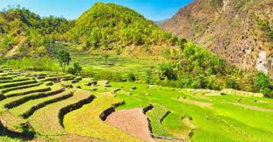 ഇന്ത്യയിലെ ആദ്യത്തെ പൂർണ്ണമായ ഓർഗാനിക് സംസ്ഥാനമായി സിക്കിം