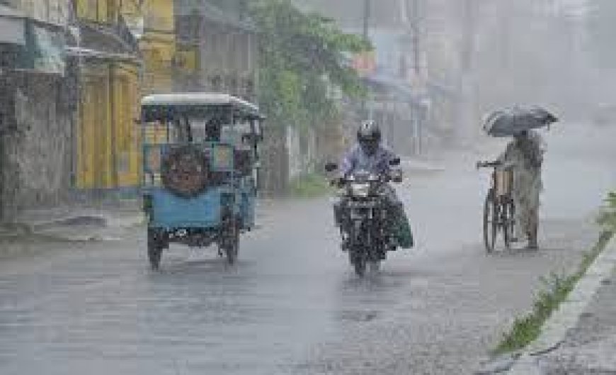 കാലവർഷം ശക്തമായി: കാസർകോട്, കണ്ണൂർ, വയനാട്, കോഴിക്കോട്, മലപ്പുറം ജില്ലകളിൽ റെഡ് അലേർട്ട്