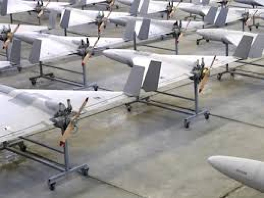 “കാമിക്കാസെ” ഡ്രോൺ:യുദ്ധ മേഖലയിലും പ്രതിരോധ സേനകളിലും ഇത് ശക്തമായ ഉപകരണം