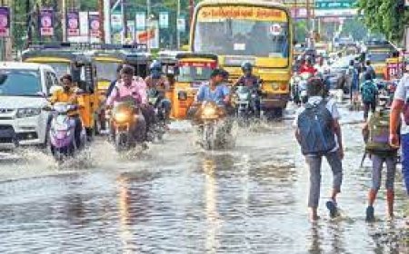 തമിഴ്‌നാട്ടിലെ 17 ജില്ലകൾക്ക് കനത്ത മഴ: ഓറഞ്ച് അലർട്ട് പ്രഖ്യാപിച്ചു