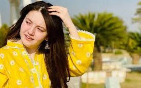 സന യൂസഫ്, സോഷ്യൽ മീഡിയ ഇൻഫ്ലുവൻസർ പാകിസ്താനിൽ  വെടിയേറ്റ് മരിച്ചു