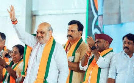 ബിജെപിയും എഐഡിഎംകെയും ചേർന്ന് നിയസഭ തിരഞ്ഞെടുപ്പിൽ മത്സരിക്കുമെന്ന് അമിത് ഷാ