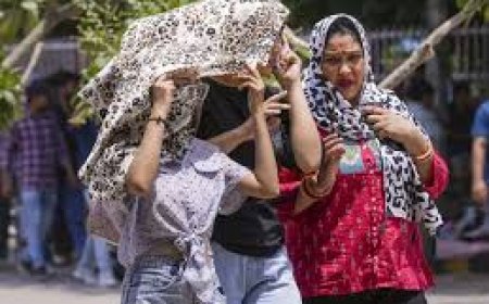 ഡൽഹിയിൽ കൊടും ചൂട്.  താപനില 49 ഡിഗ്രി സെൽഷ്യസ് ആയി ഉയർന്നു