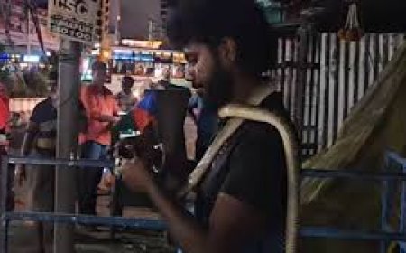 തമിഴ്‌നാട്ടിലെ ധർമ്മപുരിയിൽ കഴുത്തിൽ ചുറ്റിയ പാമ്പിന്  മദ്യം നൽകി യുവാവ്