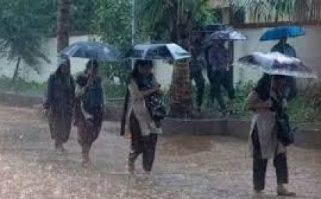കനത്ത മഴ: എട്ട് ജില്ലകളിലെ വിദ്യാഭ്യാസ സ്ഥാപനങ്ങൾക്ക് നാളെ അവധി പ്രഖ്യാപിച്ചു