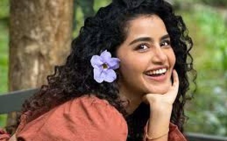 മലയാളചിത്രങ്ങളിൽ നിന്ന് തനിക്ക് ഒരുപാട് അവസരങ്ങൾ നിഷേധിക്കപ്പെട്ടു എന്ന് നടി അനുപമ പരമേശ്വരൻ