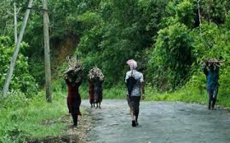 വന്യജീവി ആക്രമണത്തിന് പരിഹാരം അനിവാര്യം. പുതിയ പദ്ധതിയുമായി സർക്കാർ