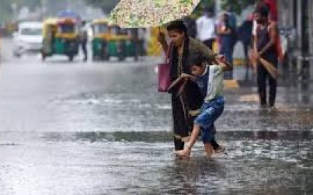 സംസ്ഥാനത്ത് ശക്തമായ മഴയ്‌ക്കൊപ്പം ശക്തമായ കാറ്റിനും സാധ്യത: കാലാവസ്ഥ നിരീക്ഷണ കേന്ദ്രത്തിന്റെ മുന്നറിയിപ്പ്