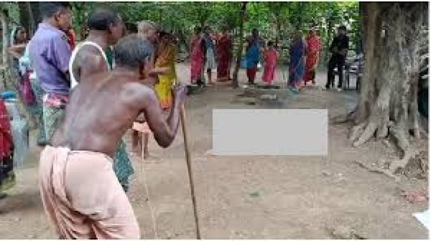 പെൺകുട്ടിക്ക് പാമ്പിനോട് സമാനമായ പെരുമാറ്റം: നാട്ടുകാരും വിദഗ്ധരും ആശങ്കയിൽ