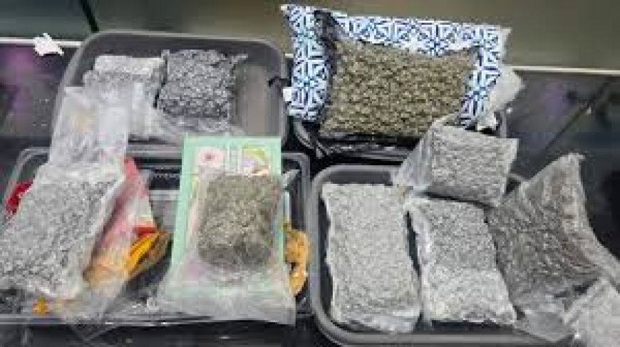 മലപ്പുറം സ്വദേശിയായ യുവാവിൽ നിന്ന് ഹൈബ്രിഡ് കഞ്ചാവ് കസ്റ്റംസ് കണ്ടെത്തി