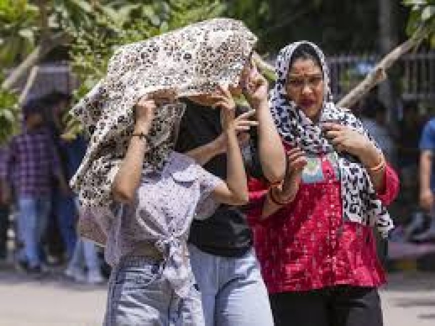 ഡൽഹിയിൽ കൊടും ചൂട്.  താപനില 49 ഡിഗ്രി സെൽഷ്യസ് ആയി ഉയർന്നു