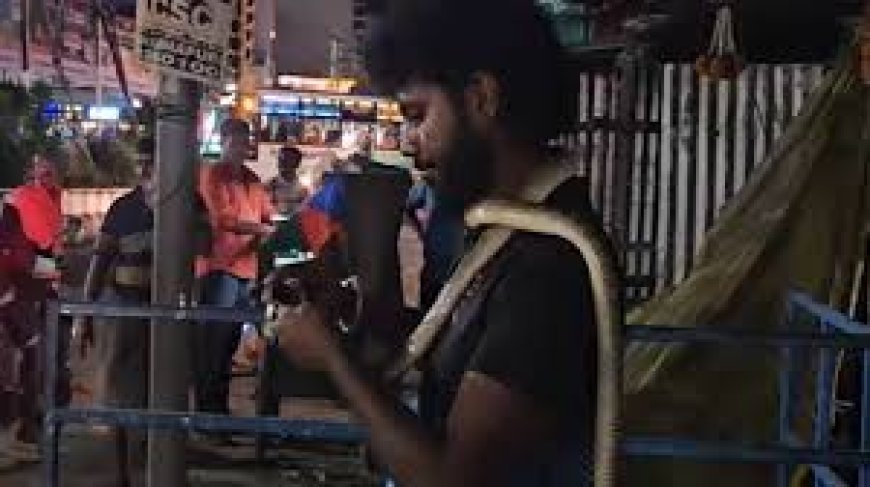 തമിഴ്‌നാട്ടിലെ ധർമ്മപുരിയിൽ കഴുത്തിൽ ചുറ്റിയ പാമ്പിന്  മദ്യം നൽകി യുവാവ്