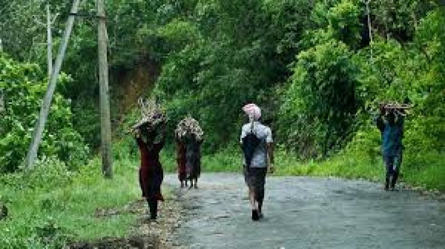 വന്യജീവി ആക്രമണത്തിന് പരിഹാരം അനിവാര്യം. പുതിയ പദ്ധതിയുമായി സർക്കാർ