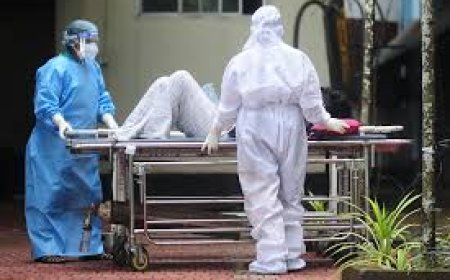 പാലക്കാട് മരണപ്പെട്ടയാളുടെ മകന് പ്രാഥമിക പരിശോധനയില്‍ നിപ സംശയമുണ്ടായതോടെ റൂട്ട് മാപ്പ് തയ്യാറാക്കി ആരോഗ്യവകുപ്പ്