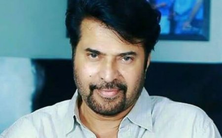 ബാച്ചിലേഴ്സ് ഡിഗ്രിയുടെ ഭാഗമാകാൻ മമ്മൂട്ടിയുടെ ജീവിതവും കരിയറും
