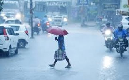 ശക്തമായ കാറ്റിലും മഴയിലും വടക്കൻ കേരളത്തിൽ രണ്ടു മരണം