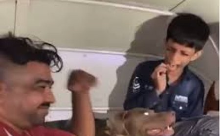 പാർക്ക് ചെയ്തിരുന്ന ഓട്ടോറിക്ഷയ്ക്കുള്ളിൽ കളിച്ചുകൊണ്ടിരുന്ന കുട്ടിയെ പിറ്റ്ബുൾ കടിക്കുന്ന ദൃശ്യങ്ങൾ സമൂഹ മാധ്യമങ്ങളിൽ വൈറലാവുന്നു