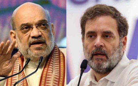 ലോക്‌സഭയിൽ രാഹുൽ ഗാന്ധിയെയും ചിദംബരത്തെയും വിമർശിച്ചു അമിത് ഷാ