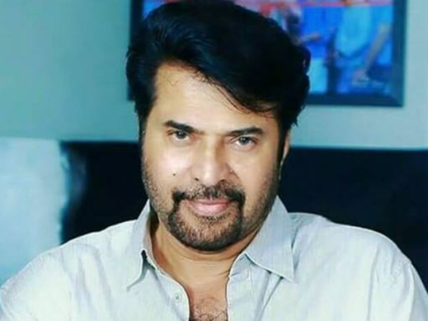 ബാച്ചിലേഴ്സ് ഡിഗ്രിയുടെ ഭാഗമാകാൻ മമ്മൂട്ടിയുടെ ജീവിതവും കരിയറും