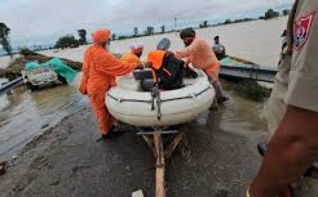 പഞ്ചാബിൽ അതീവ ജാഗ്രത; ബിയാസ് ചുഴലിക്കാറ്റ് ഹോഷിയാർപൂരിലെ 35 ഗ്രാമങ്ങളെ വെള്ളത്തിലാഴ്ത്തി