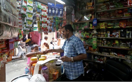 ജിഎസ്ടി നികുതി മാറ്റം, പരിധിയിൽ ഉൾപ്പെടുന്ന ഇനങ്ങൾ