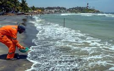 എംഎസ്‌സി എൽസ 3 തകർന്നത് കടലിൽ പാരിസ്ഥിതിക തകർച്ചയ്ക്ക് കാരണമായെന്ന് കേന്ദ്ര ഭൗമ ശാസ്ത്ര മന്ത്രാലയം