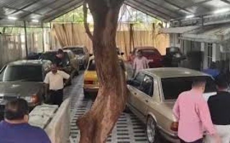 ഇന്ത്യയിൽ എത്തിച്ച് തട്ടിപ്പ് നടത്തിയതിൽ സംസ്ഥാന വ്യാപകമായി കസ്റ്റംസ് പരിശോധന തുടരുകയാണ്. എന്താണ് നുംഖോർ