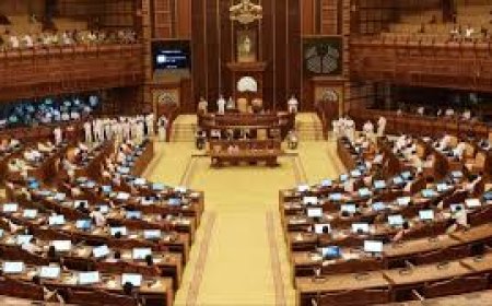 ശബരിമല സ്വർണ്ണ മോഷണക്കേസിൽ നിയമസഭയിൽ പ്രതിപക്ഷം നടത്തിയ പ്രതിഷേധത്തിനെതിരെ കെ.എൻ. ബാലഗോപാൽ രംഗത്ത്