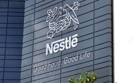 പുതിയ സിഇഒയുടെ വിൽപ്പന കേന്ദ്രീകൃത പരിഷ്കരണത്തിന് കീഴിൽ നെസ്‌ലെ 16,000 തൊഴിൽ പിരിച്ചുവിടൽ പ്രഖ്യാപിച്ചു