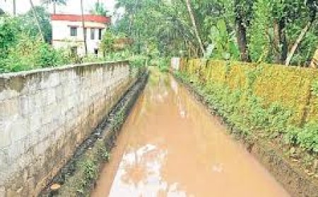 14.5 കോടി രൂപയുടെ പൊട്ടച്ചൽ കനാൽ വെള്ളപ്പൊക്ക ലഘൂകരണ പദ്ധതി ആരംഭിച്ചു