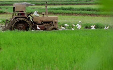 കർഷക സമൂഹത്തെ സ്റ്റാർട്ടപ്പ് ആവാസവ്യവസ്ഥയിലേക്ക് കൊണ്ടുവരാൻ കേരള സ്റ്റാർട്ടപ്പ് മിഷൻ അഗ്രിനെക്സ്റ്റ് എന്ന പുതിയ പദ്ധതി ആരംഭിക്കുന്നു