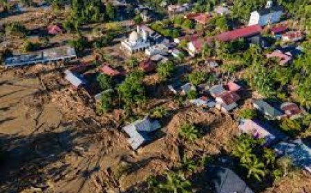 സെൻയാർ, ഡിറ്റ്‌വാ ചുഴലിക്കാറ്റുകൾ:1,000-ത്തിലധികം ആളുകൾ മരിക്കുകയും പതിനായിരക്കണക്കിന് ആളുകളെ മാറ്റിപ്പാർപ്പിക്കുകയും ചെയ്തു