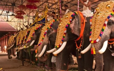 ആനക്കള എഴുന്നള്ളിപ്പ് കർശ്ശന നിർദ്ദേശങ്ങൾ നിലവിൽ വന്നു