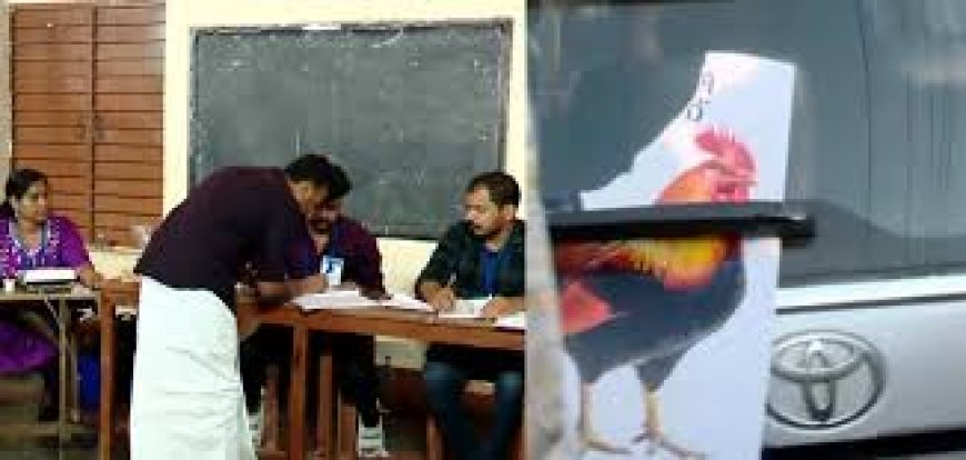വോട്ട് ചെയ്യാനെത്തി രാഹുൽ മാങ്കൂട്ടത്തിൽ എംഎൽഎ