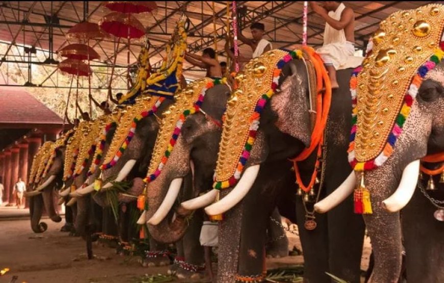 ആനക്കള എഴുന്നള്ളിപ്പ് കർശ്ശന നിർദ്ദേശങ്ങൾ നിലവിൽ വന്നു