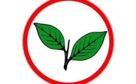 തിരഞ്ഞെടുപ്പിലെ തോൽവിക്ക് കാരണം സിപിഐ സിപിഎം വോട്ടുകൾ കിട്ടാത്തതാണെന്ന് കേരള കോൺഗ്രസ് എം