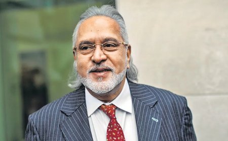 ആദ്യം ഇന്ത്യയിലേക്ക് തിരിച്ചുവരൂ.. വിജയ് മല്യ സമർപ്പിച്ച ഹർജിയിൽ ബോംബെ ഹൈക്കോടതി