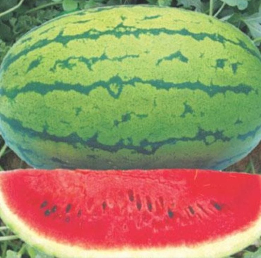 പഴവർഗ്ഗങ്ങൾക്ക് വിലയേറുന്നു: വിപണിയിൽ ആശങ്ക